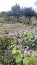 ��������� ��� �/� ճ��-3, ����������, �������, ������� ���� 9