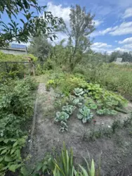 Продается дом Сумская, Сумы, Заречный, Баранівка фото 3 Продается дом Сумская, Сумы, Заречный, Баранівка фото 3