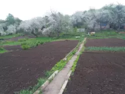 Продается дом Сумская, Сумы, Заречный, Аеропорт/ рибгосп с/т Барвінок,, ділянка №126 фото 2 Продается дом Сумская, Сумы, Заречный, Аеропорт/ рибгосп с/т Барвінок,, ділянка №126 фото 2