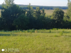 Продается дом Сумская, Сумский фото 12 Продается дом Сумская, Сумский фото 12