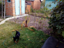 Продается дом Сумская, Сумский фото 9 Продается дом Сумская, Сумский фото 9