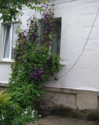 Продается дом Сумская, Сумы, Заречный фото 8 Продается дом Сумская, Сумы, Заречный фото 8