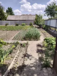 ��������� ��� �. ������ ϳ����, ����, �������, ������������ ���� 12