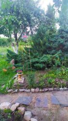 Продается дом Сумская, Сумский, Красное фото 9 Продается дом Сумская, Сумский, Красное фото 9