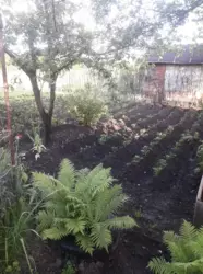 Продается дом Сумская, Сумы, Заречный, Хіммістечко фото 9 Продается дом Сумская, Сумы, Заречный, Хіммістечко фото 9