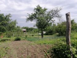 Продается дом Сумская, Сумы, Барановка фото 4 Продается дом Сумская, Сумы, Барановка фото 4