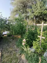 Продается дом Сумская, Сумы, Заречный, с/т Озерний НЕМ фото 16 Продается дом Сумская, Сумы, Заречный, с/т Озерний НЕМ фото 16