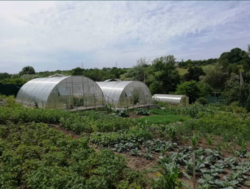 Продается дом Сумская, Сумский фото 10 Продается дом Сумская, Сумский фото 10