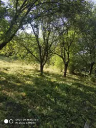 Продается дом р-н Аеропорту с/т Авіатор, Сумы, Сумская, Заречный фото 3 Продается дом р-н Аеропорту с/т Авіатор, Сумы, Сумская, Заречный фото 3