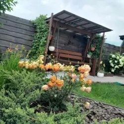 Продается дом Голубі озера, Сумы, Сумская, Заречный фото 6 Продается дом Голубі озера, Сумы, Сумская, Заречный фото 6