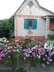 Продается дом Сумская, Сумы, Заречный, Олдиш фото 1 Продается дом Сумская, Сумы, Заречный, Олдиш фото 1