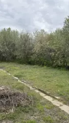 Продается дом Сумская, Сумы, Заречный, с/т Барвінок фото 2 Продается дом Сумская, Сумы, Заречный, с/т Барвінок фото 2