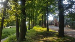 Продается дом Сумская, Сумы, Ковпаковский фото 2 Продается дом Сумская, Сумы, Ковпаковский фото 2