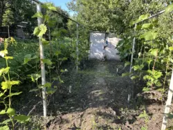 Продается дом Сумская, Сумы, Ковпаковский, Білопільський шлях с/т Фрунзенець фото 4 Продается дом Сумская, Сумы, Ковпаковский, Білопільський шлях с/т Фрунзенець фото 4