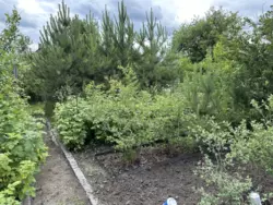 Продается дом Сумская, Сумы, Ковпаковский, Білопільський шлях с/т Фрунзенець фото 11 Продается дом Сумская, Сумы, Ковпаковский, Білопільський шлях с/т Фрунзенець фото 11