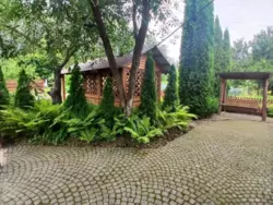 Продается дом Сумская, Сумы, Заречный, с/т Олдиш-86 фото 14 Продается дом Сумская, Сумы, Заречный, с/т Олдиш-86 фото 14