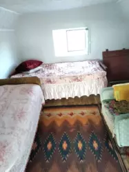 ��������� ��� �-� ��������� �������������������, ����, �������, �������� ���� 4