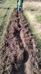 ��������� ��� �/� ˳��, ����, �������, �������� ���� 2