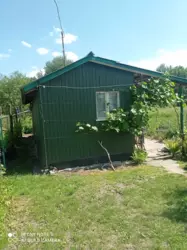 ��������� ��� �����, ����, �������, �������� ���� 8