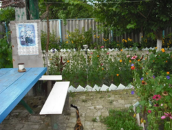 Продается дом Сумская, Сумский фото 6 Продается дом Сумская, Сумский фото 6