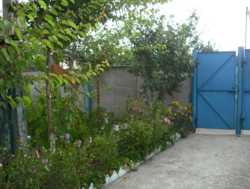 Продается дом Сумская, Сумский фото 5 Продается дом Сумская, Сумский фото 5