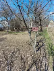 дача р-н Аеропорта фото 3 дача р-н Аеропорта фото 3