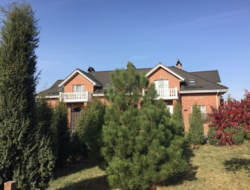 Продается дом Сумская, Сумы, Запорізька вул. фото 13 Продается дом Сумская, Сумы, Запорізька вул. фото 13