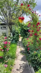 Продается дом Сумская, Сумы, Заречный, с/т Красносільський фото 1 Продается дом Сумская, Сумы, Заречный, с/т Красносільський фото 1