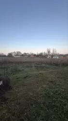 ��������� ��� �����, ���������, ������� ���� 8