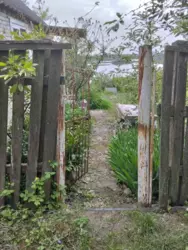 Продается дом за старим аеропортом(с/т Будівельник), Сумы, Сумская, Заречный фото 4 Продается дом за старим аеропортом(с/т Будівельник), Сумы, Сумская, Заречный фото 4