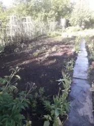 Продается дом Сумская, Сумы, Заречный, Хіммістечко фото 8 Продается дом Сумская, Сумы, Заречный, Хіммістечко фото 8