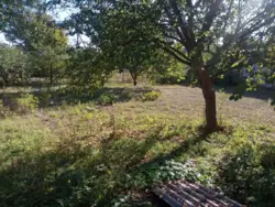 ��������� ��� �������, ����, ������������, ���� ���� 14