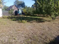 ��������� ��� �������, ����, ������������, ���� ���� 12