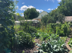 Продается дом Сумская, Сумы, Заречный, ул. Водная фото 11 Продается дом Сумская, Сумы, Заречный, ул. Водная фото 11