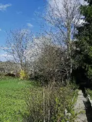 Продается дом Сумская, Сумы, Олдыш фото 2 Продается дом Сумская, Сумы, Олдыш фото 2