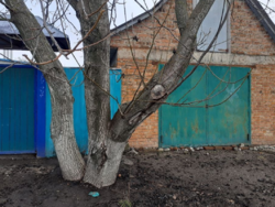 Продается дом Сумская, Сумский фото 6 Продается дом Сумская, Сумский фото 6