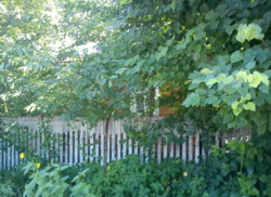 Дом, участок, машина фото 2 Дом, участок, машина фото 2