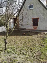 ��������� ��� �-� ��������� �������������������, ����, �������, �������� ���� 1