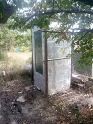 ��������� ��� ������������ ����/ ���������, ����, �������, ������������ ���� 6