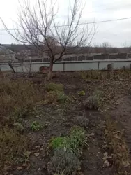 Продается дом Верхняя Сыроватка, Сумский, Сумская фото 10 Продается дом Верхняя Сыроватка, Сумский, Сумская фото 10