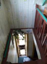 Продается дом Сумская, Сумы, Барановка фото 6 Продается дом Сумская, Сумы, Барановка фото 6