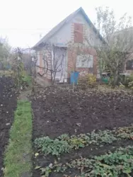 ��������� ��� ���������, �/� �������, ����, �������, �������� ���� 4