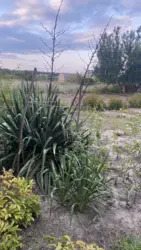 ��������� ��� �/� ճ��-3, ����������, �������, ������� ���� 11