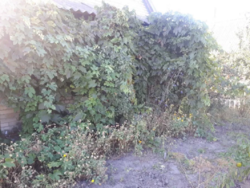 Продается дом Сумская, Сумы, Заречный, ул.Нефтянник,2 фото 16 Продается дом Сумская, Сумы, Заречный, ул.Нефтянник,2 фото 16