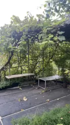 ��������� ��� �/� ճ��-3, ����������, �������, ������� ���� 8