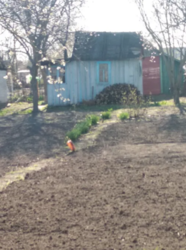 Продается дом Сумская, Сумы, Заречный, Химгородок фото 4 Продается дом Сумская, Сумы, Заречный, Химгородок фото 4