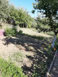 ��������� ��� �������, ����, ������������, �� ��������� ���� , �/� '�������-3' ���� 2