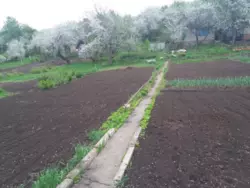 Продается дом Сумская, Сумы, Заречный, Аеропорт/ рибгосп с/т Барвінок,, ділянка №126 фото 1 Продается дом Сумская, Сумы, Заречный, Аеропорт/ рибгосп с/т Барвінок,, ділянка №126 фото 1