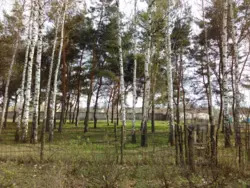 Продается дом Сумская, Сумы, Заречный, Римського-Корсакова, с/т Хімік-1 фото 2 Продается дом Сумская, Сумы, Заречный, Римського-Корсакова, с/т Хімік-1 фото 2