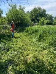 ��������� ��� ������������ ���� �/� ����������, ����, �������, ������������ ���� 2